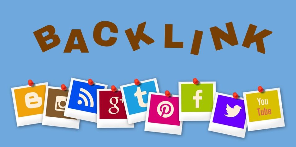 seo backlink