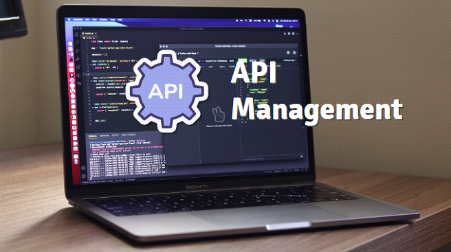 API Management Platform